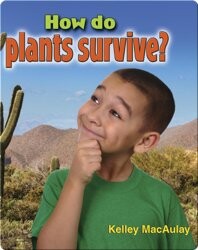 How Do Plants Survive?