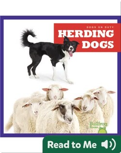 Dogs on Duty: Herding Dogs