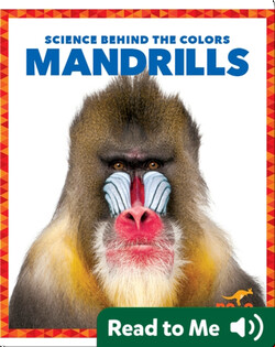 Science Behind the Colors: Mandrills