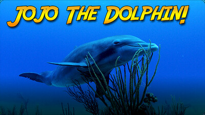 Jonathan Bird's Blue World: Searching for Jojo the Dolphin