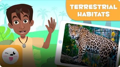 Smile and Learn Habitats: Terrestrial Habitats
