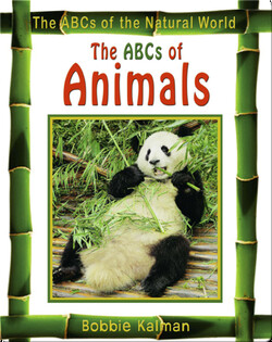 The ABCs of Animals