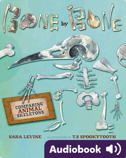 Bone by Bone: Comparing Animal Skeletons