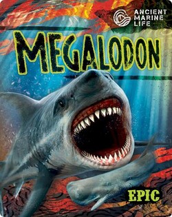 Ancient Marine Life: Megalodon