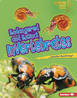 Endangered and Extinct Invertebrates