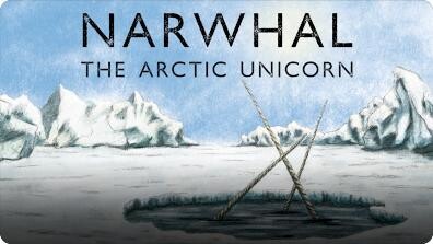 Narwhal