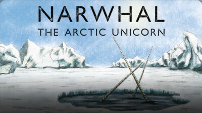 Narwhal