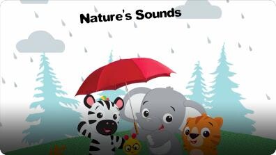 Baby Einstein: Nature's Sounds