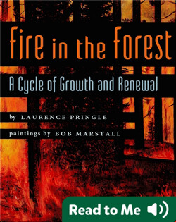 Fire in the Forest: A Cycle of Growth and Renewal