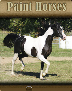 Paint Horses