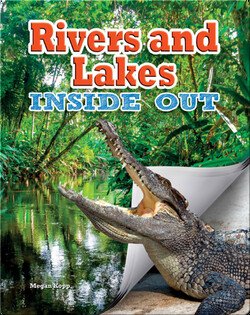 Rivers And Lakes Inside Out