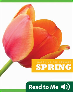 Spring