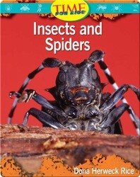 Insects and Spiders