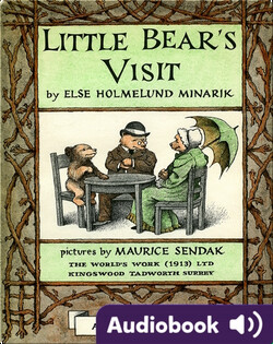 Little Bear's Visit