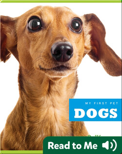 My First Pet: Dogs