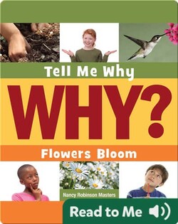 Flowers Bloom