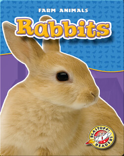 Rabbits