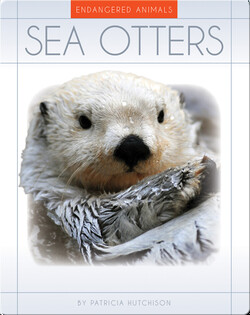 Sea Otters