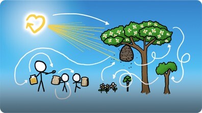 How Our Honey Is Made