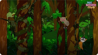 Rainforest Song