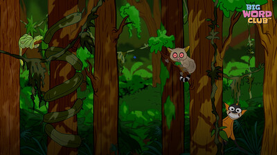 Rainforest Song