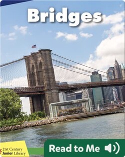 Bridges
