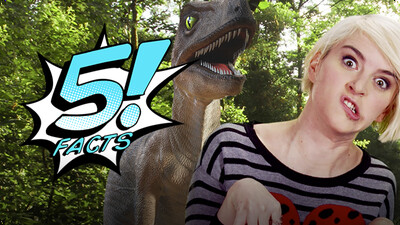 5 Dinosaur Facts You Won't Believe | 5 FACTS
