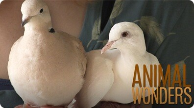 Meet & Greet: Willow and Kia