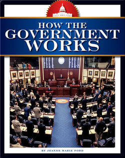 How the Government Works