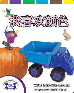 我喜欢颜色