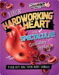 Your Hardworking Heart and Spectacular Circulatory System