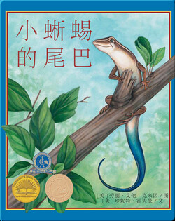 小蜥蜴的尾巴