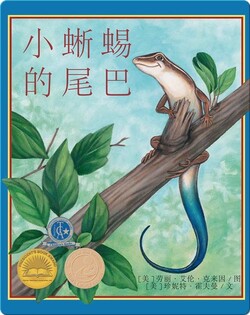 小蜥蜴的尾巴