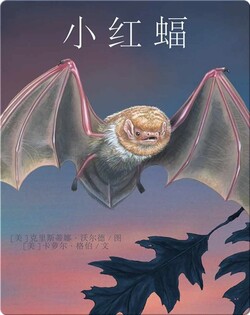 小红蝠