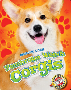 Awesome Dogs: Pembroke Welsh Corgis