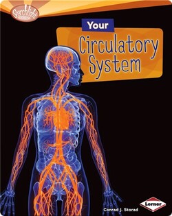Your Circulatory System