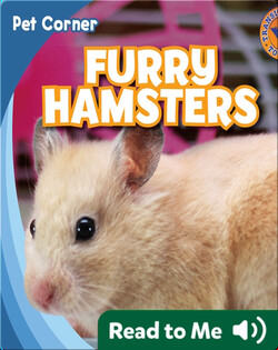 Furry Hamsters
