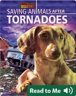 Saving Animals After Tornadoes