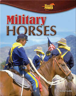 Military Horses