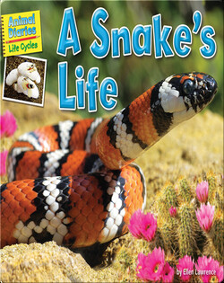 A Snake's Life