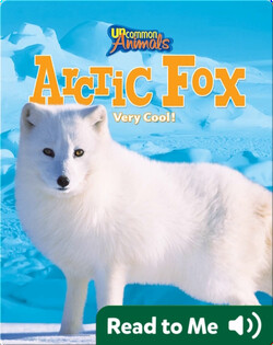 Arctic Fox: Very Cool!