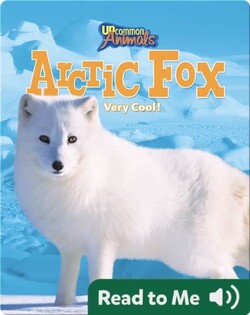 Arctic Fox: Very Cool!