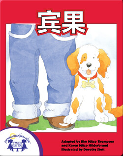 宾果