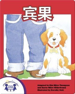 宾果
