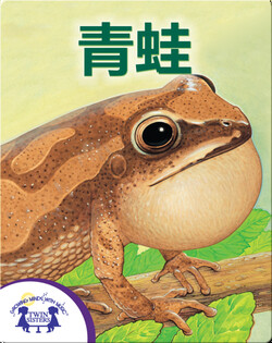 青蛙！
