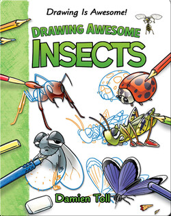 Drawing Awesome Insects