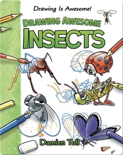 Drawing Awesome Insects