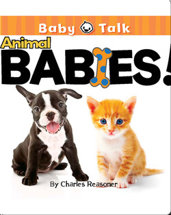 Animal Babies!