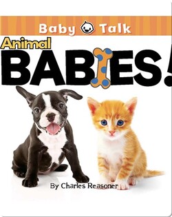 Animal Babies!