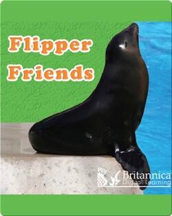 Flipper Friends